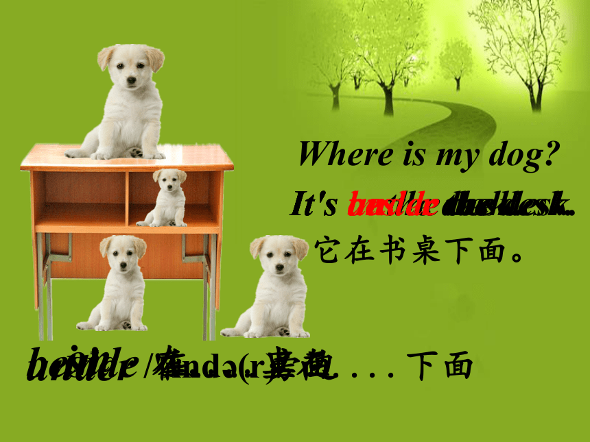 Lesson10 Where is my dog? 课件