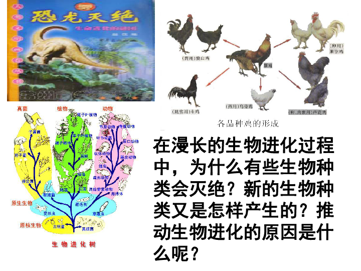 济南版八年级生物下册5．1．4《生物进化的原因》课件（共59张PPT）