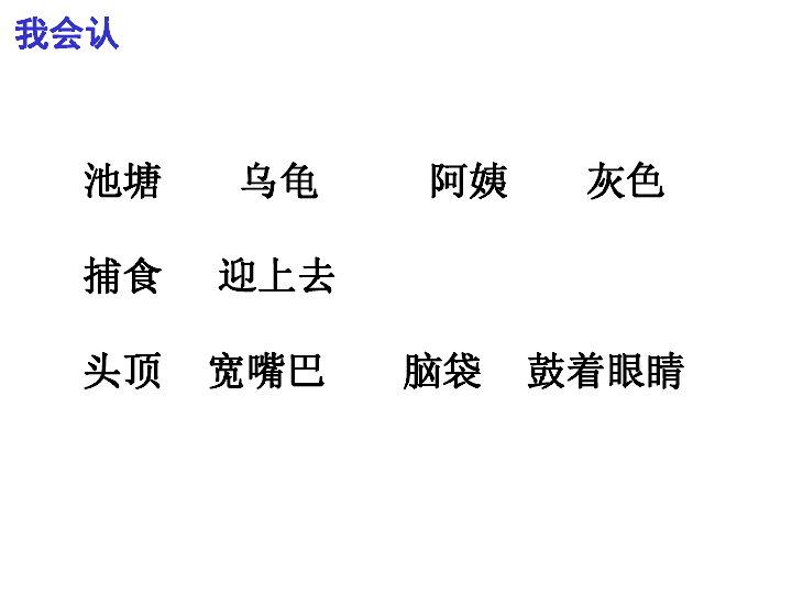 课件预览