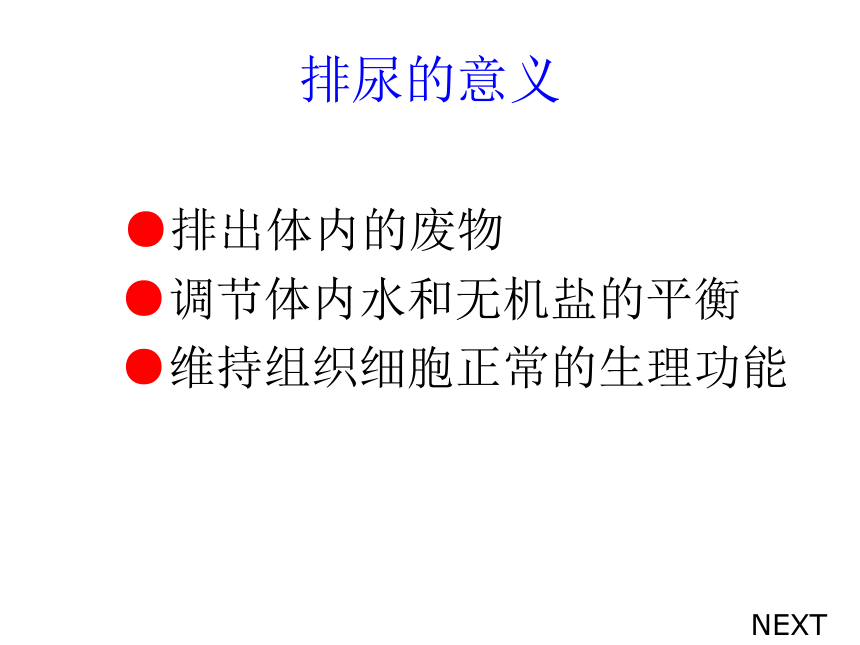 第四章  人体内废物的排出复习课件