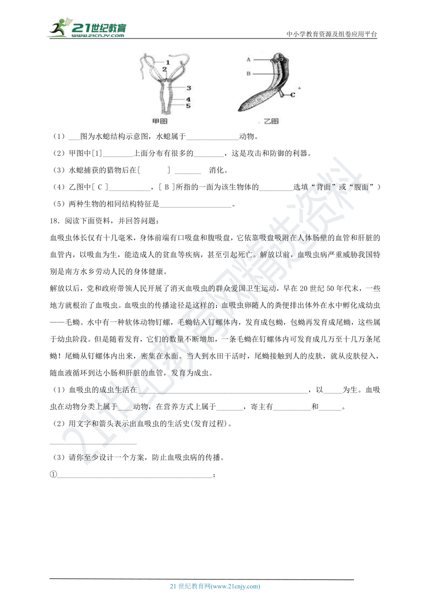 4.2 腔肠动物和扁形动物 练习