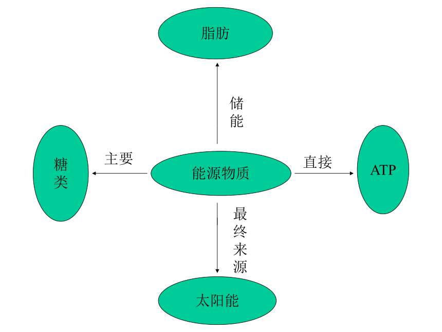 生態系統的能量流動下學期