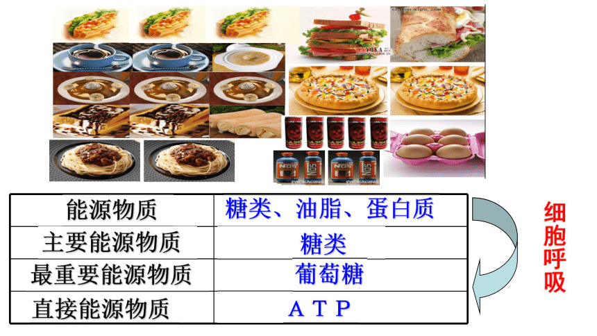 高中生物浙科版必修1 第三章 细胞的代谢第四节 细胞呼吸课件（26张）