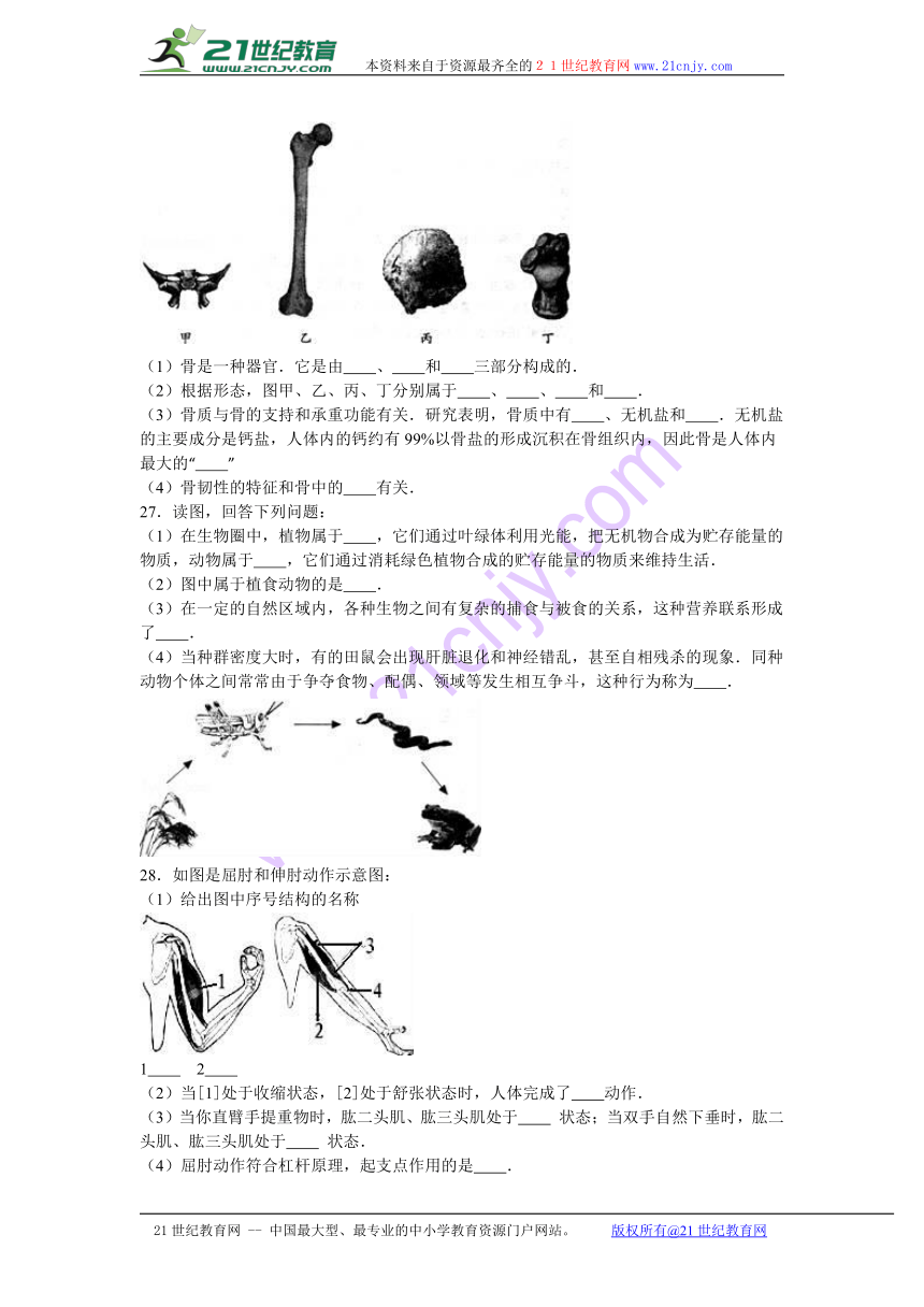 辽宁省抚顺市新宾县2016-2017学年八年级（上）期中生物试卷（解析版）