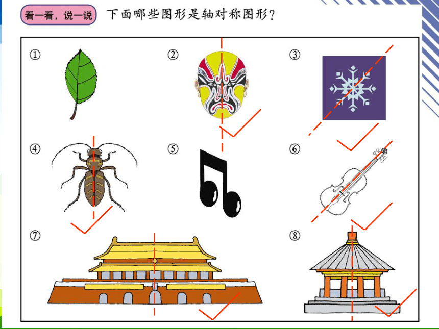 图形的变换课件