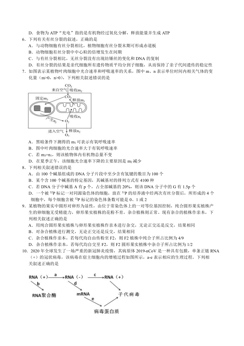 湖北省十一校2021届高三下学期3月第二次联考生物试题 Word版含答案