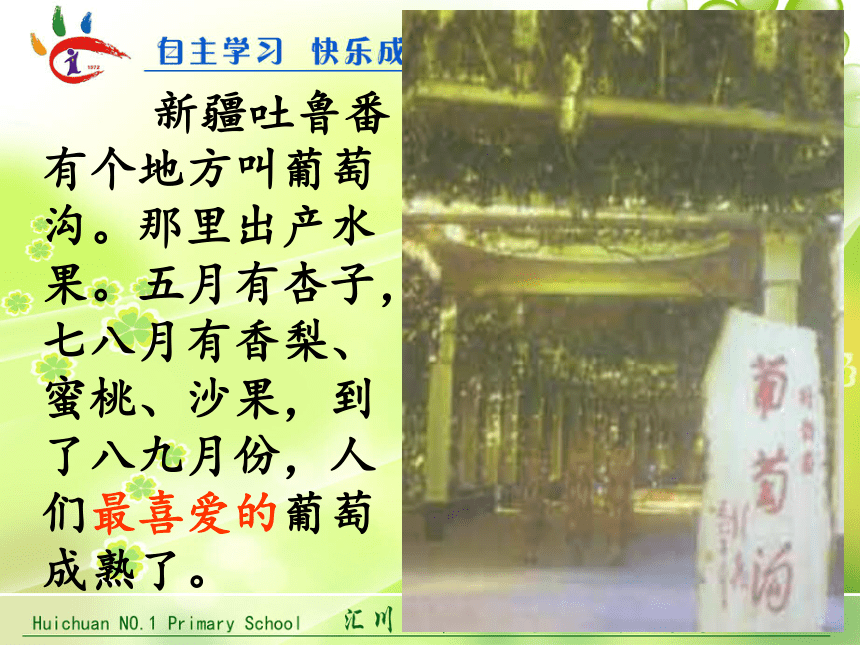 《葡萄沟》课件