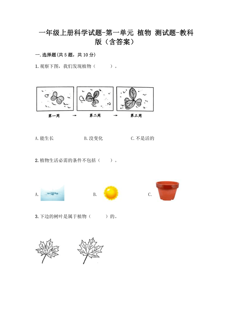 课件预览