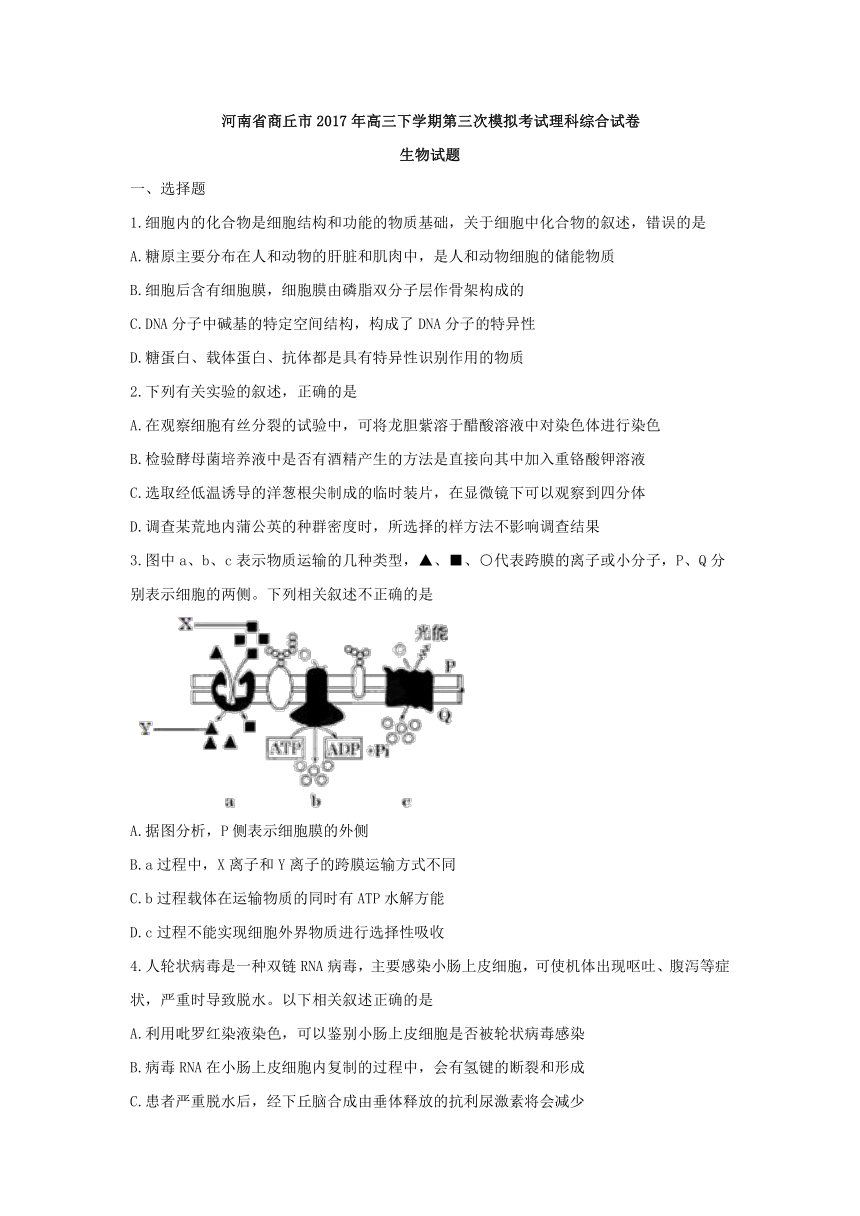 河南省商丘市2017年高三下学期第三次模拟考试理科综合生物试卷