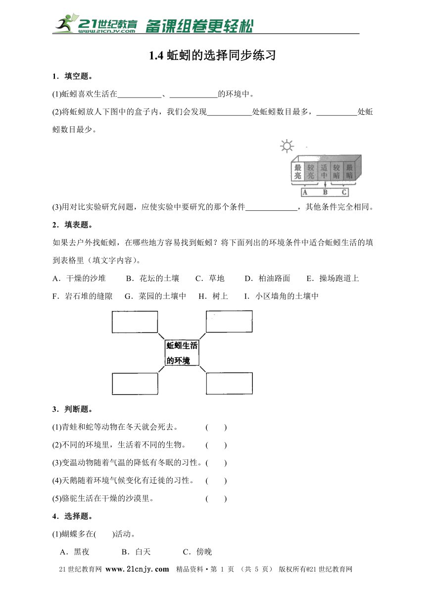 1.4蚯蚓的选择同步练习