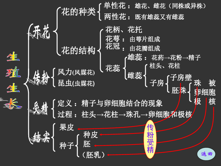 習桃的生活史營養生長生殖生長詳細…詳細…詳細…種子結構營養