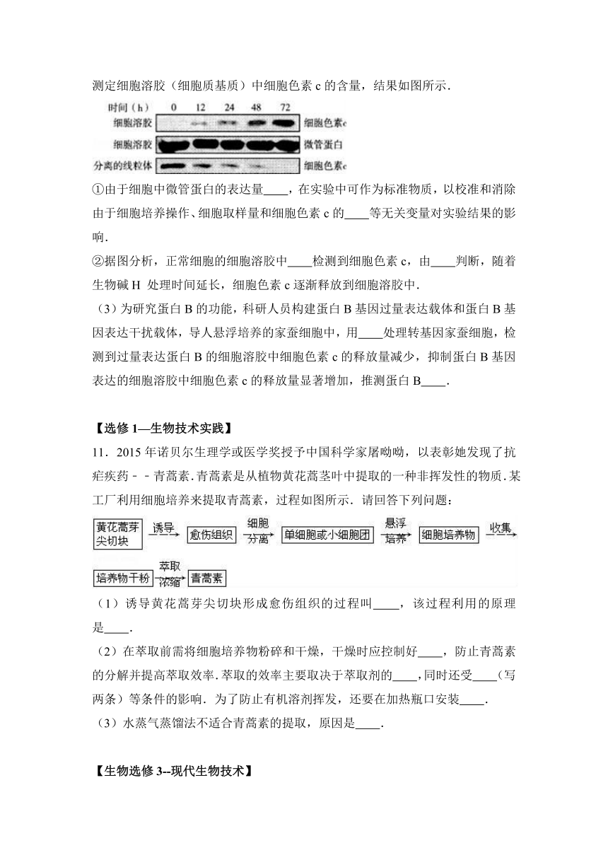 四川省成都市经开区实验高中2017届高三（上）期末生物模拟试卷（解析版）