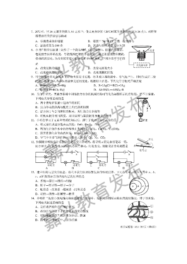 浙江省2019年初中学业水平考试（嘉兴卷）科学试题卷（图片版,含答案）