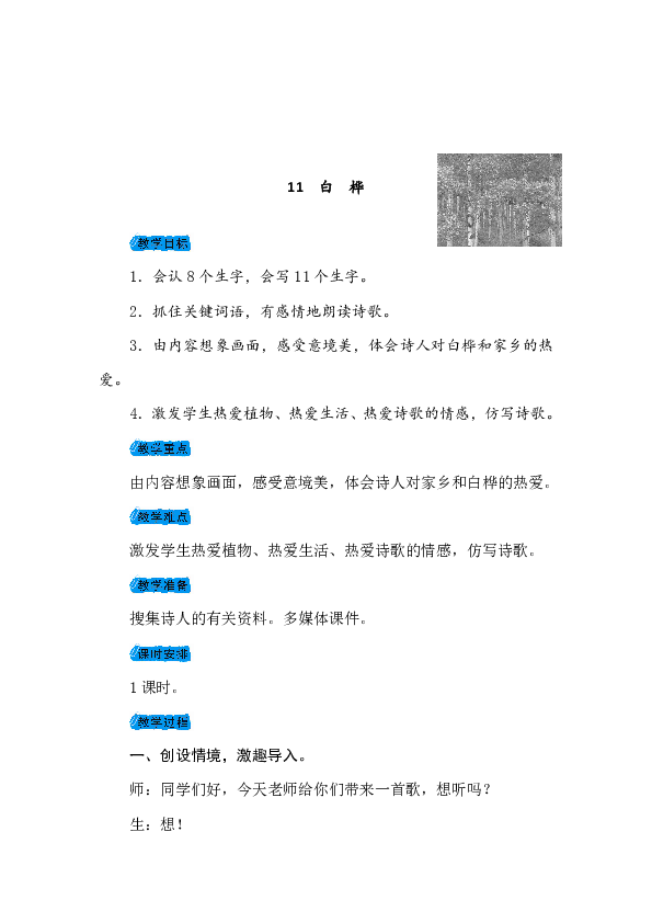 11白桦教案