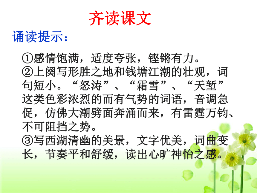 人教版必修四第四课柳永词二首 （92张）