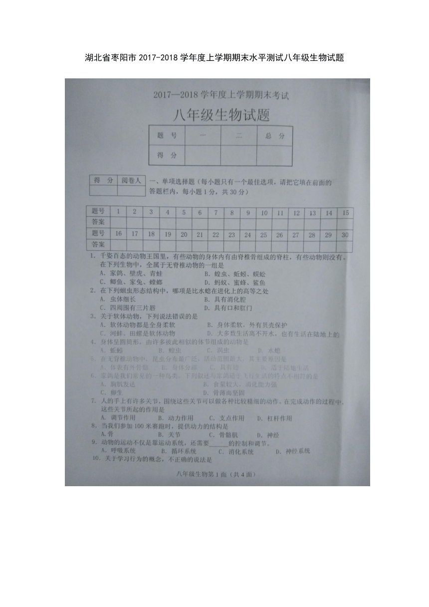 湖北省枣阳市2017-2018学年度上学期期末水平测试八年级生物试题（扫描版有答案）