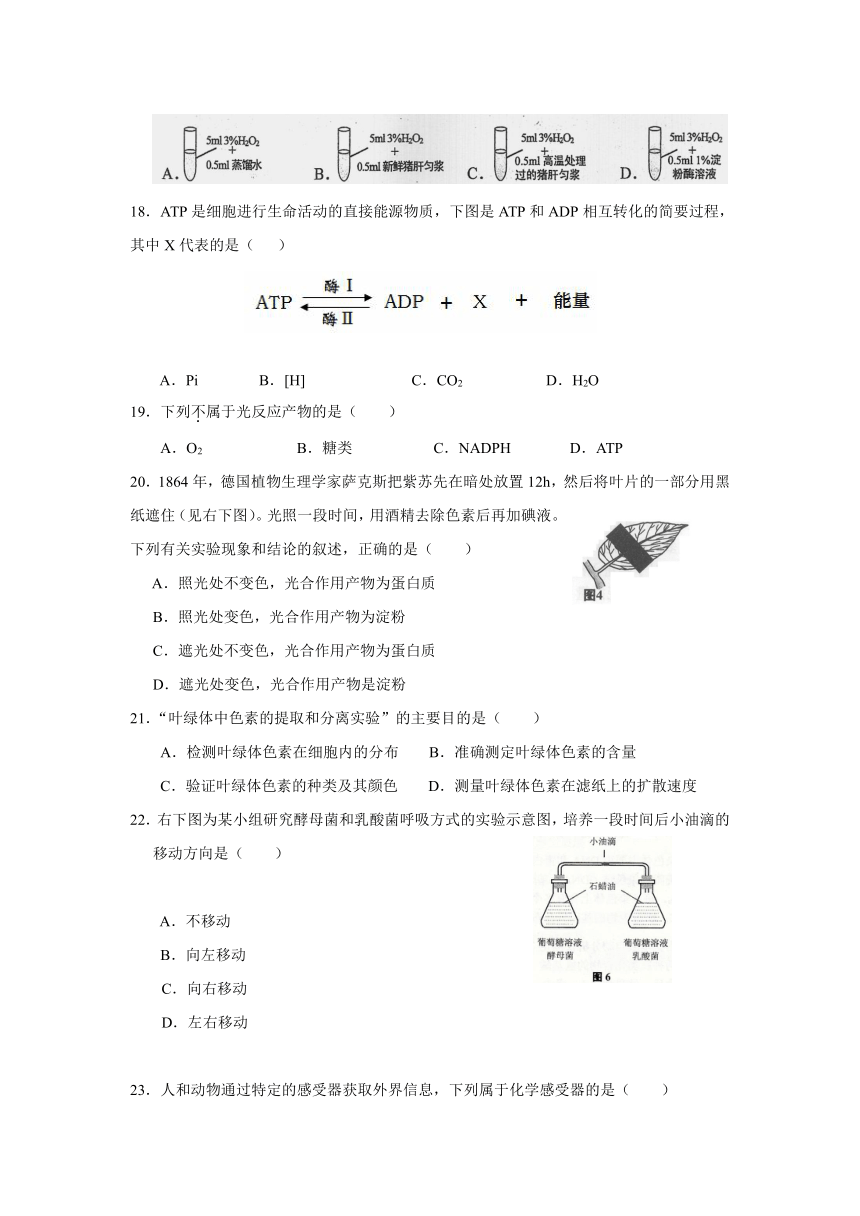 上海市金山中学2016-2017学年高一上学期期末考试生物试卷