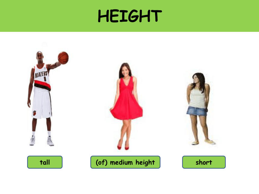 What Is Medium Height