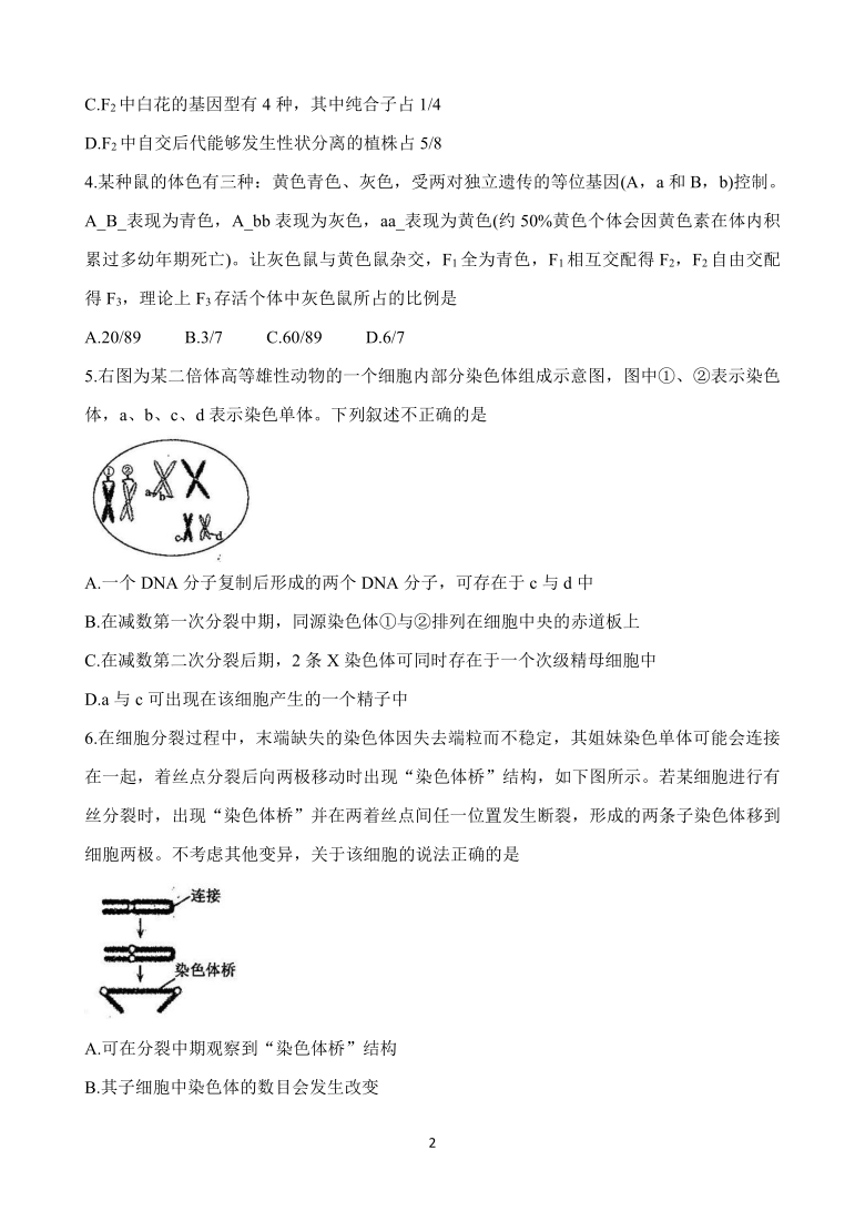 山东省聊城市九校2020-2021学年高二上学期第一次开学联考试题 生物