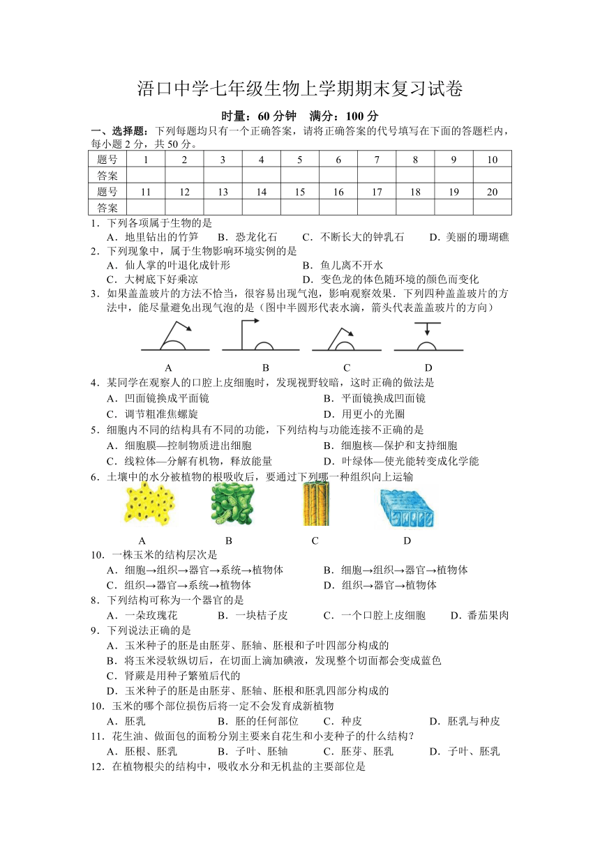 湖南省平江县浯口镇浯口中学2014-2015年第一学期七年级生物期末复习试卷（无答案）