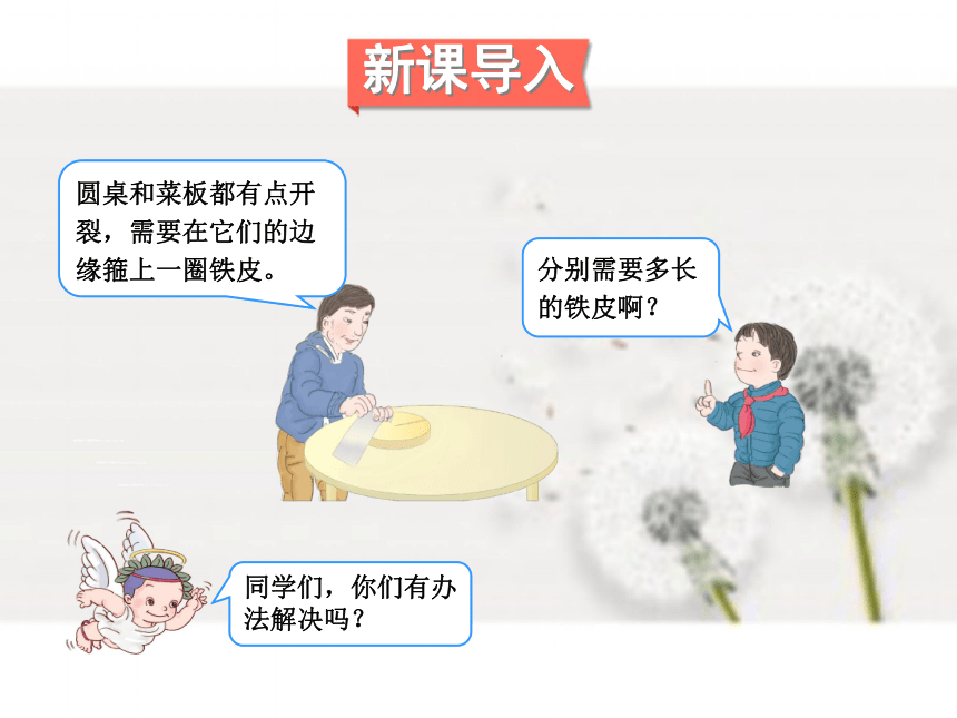 数学六年级上人教版5.2 圆的周长 课件（28张）