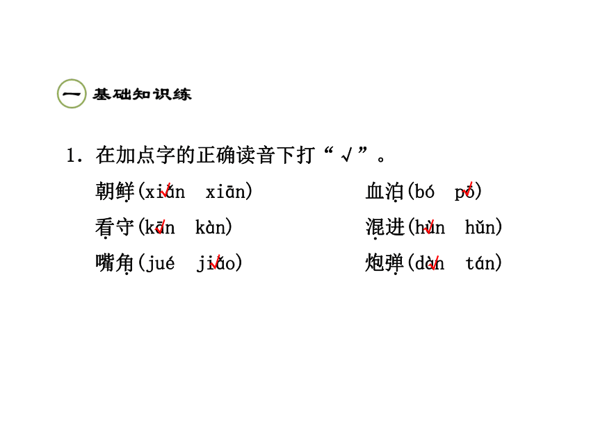 《再见了亲人》课件（课后练A）