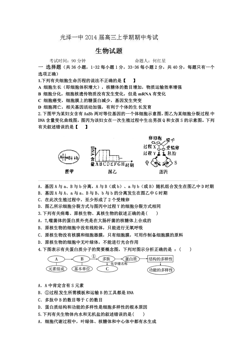 福建省光泽第一中学2014届高三上学期期中考试生物试题