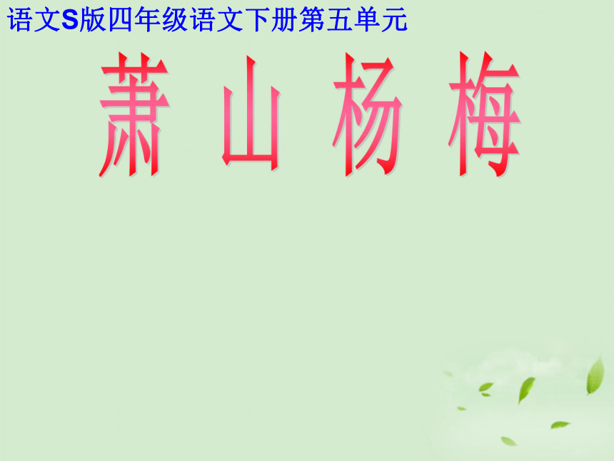 《萧山杨梅》课件