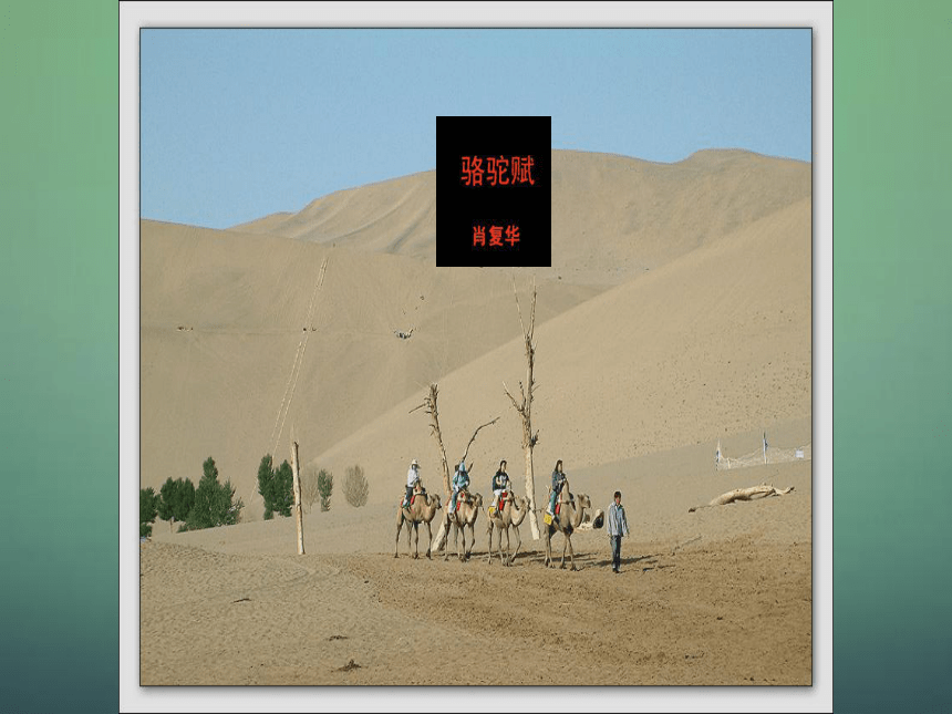 2015-2016九年级语文上册 第1课《骆驼赋》课件 （新版）鄂教版