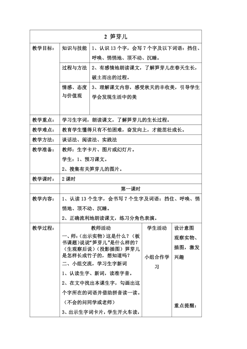 2 笋芽儿  教案