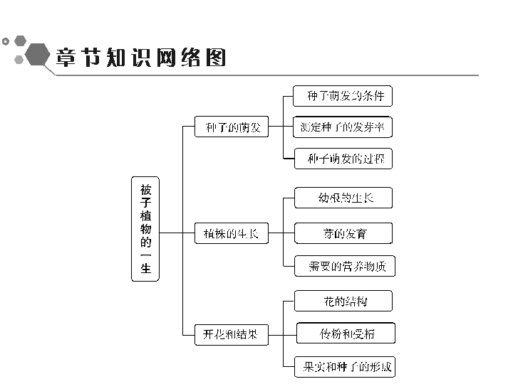 第3单元第2章第1节种子的萌发共49张ppt