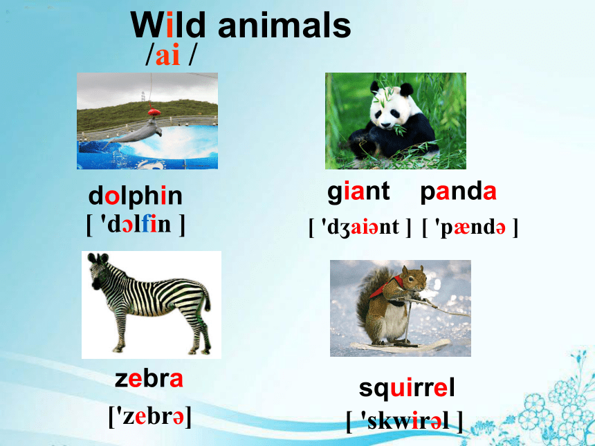 Unit 5 Wild animals　（Welcome to the Unit）