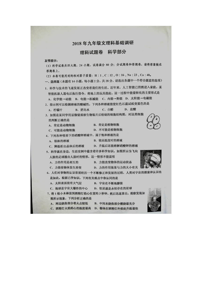 浙江省桐乡市2018年九年级文理科基础调研理科试卷科学部分（图片版，含答案）