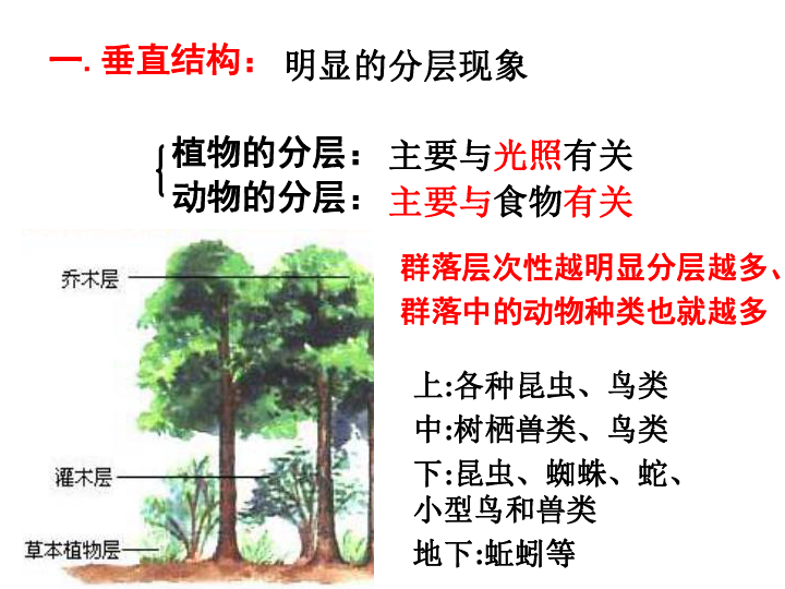 浙科版高中生物必修三5.2-植物的生长型和群落结构(共36张PPT)