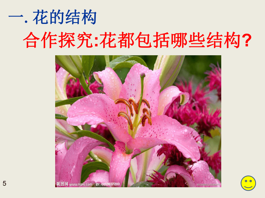 苏教版生物七上3.5.5《植物的开花和结果》课件(共35张PPT)