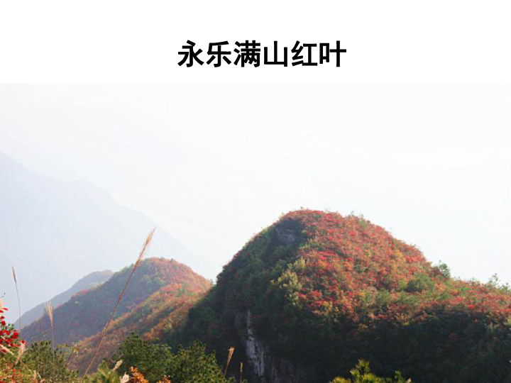 1画家乡的风景 课件（45张幻灯片）