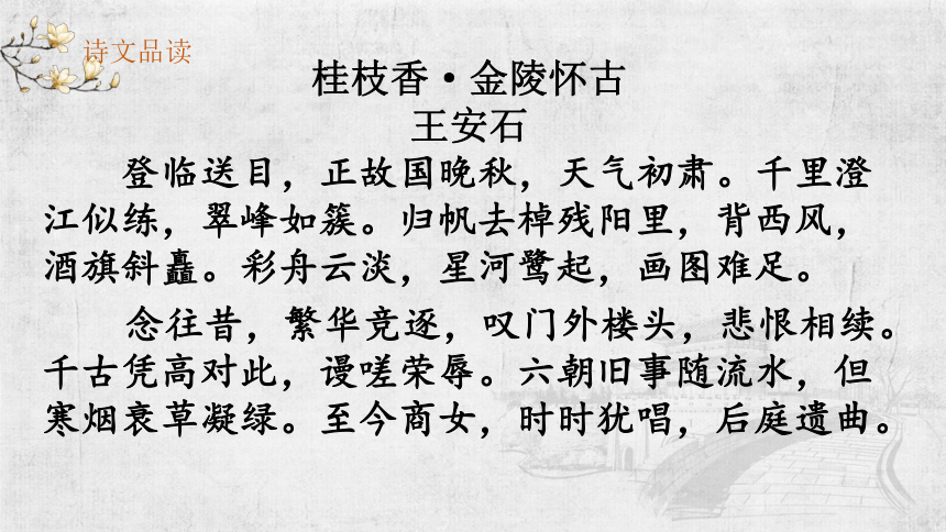 桂枝香·金陵怀古下阕图片