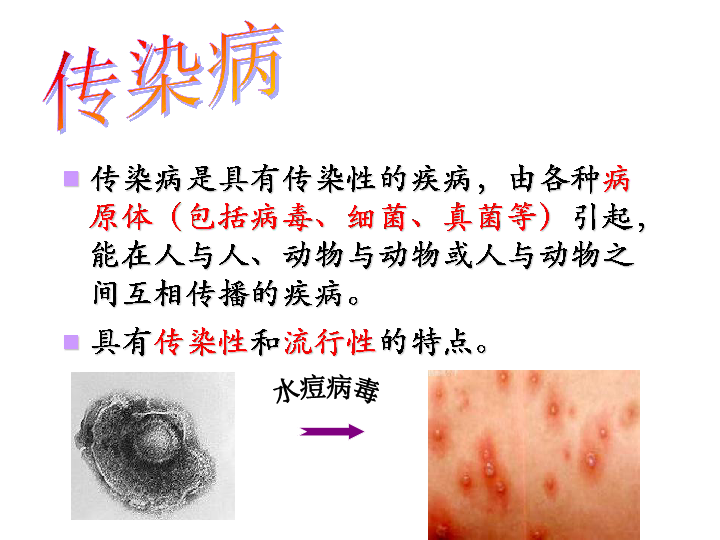 上海版八年级上册生物  3.2.1 常见传染病及其预防 课件(26张PPT)