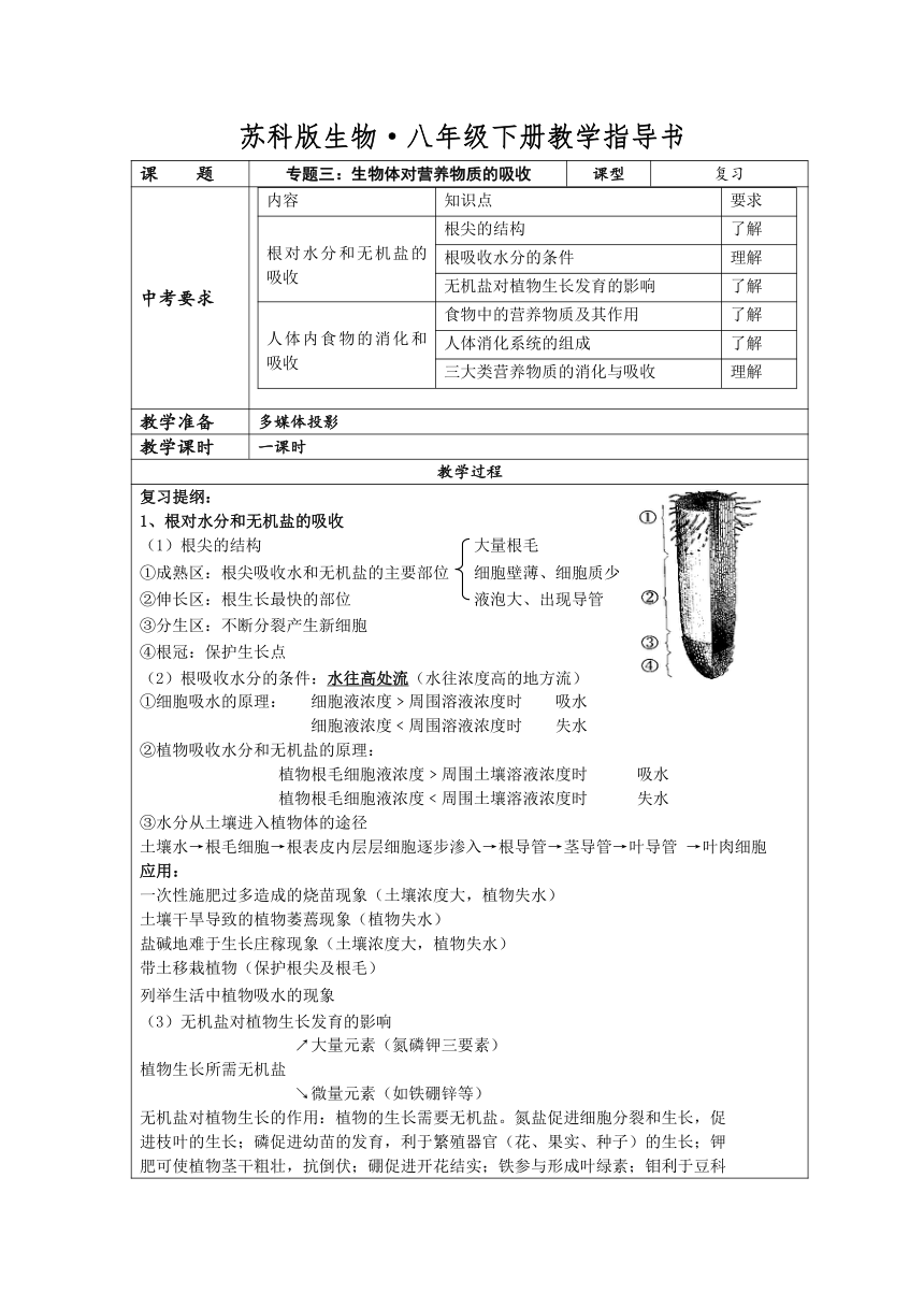 专题三：生物体对营养物质的吸收学案（无答案）