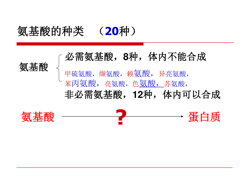 高中生物人教版必修1第二章第2节生命活动的主要承担者课件（15张ppt）