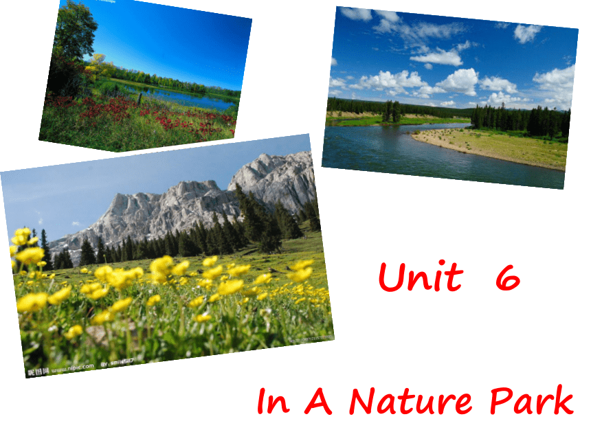 Unit 6 In a nature park PA 课件