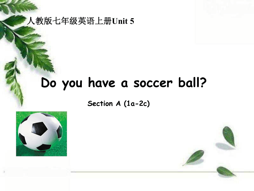 人教版七年级上册Unit 5 Do You Have A Soccer Ball？ Section A（1a-2c）课件(共31张PPT ...