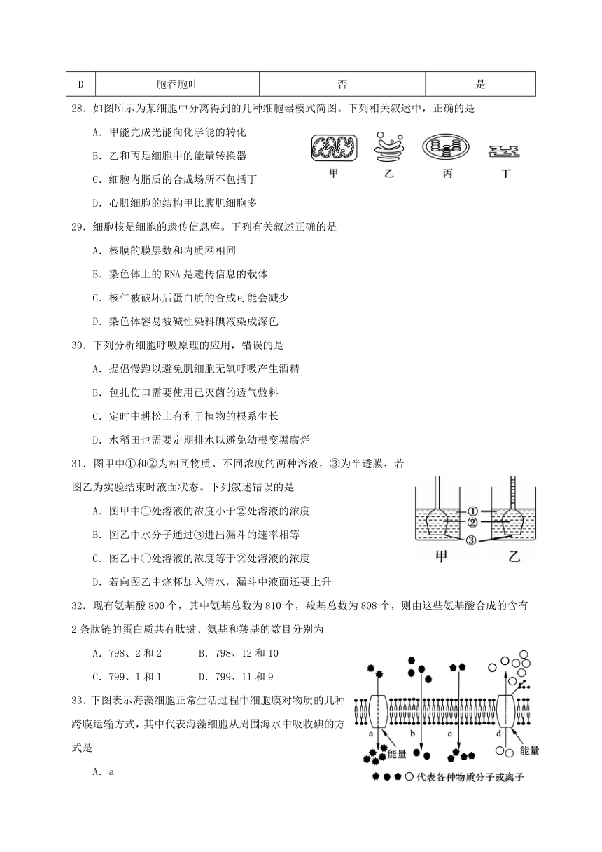 广西南宁市第八中学2017-2018学年高一上学期期末考试生物试题