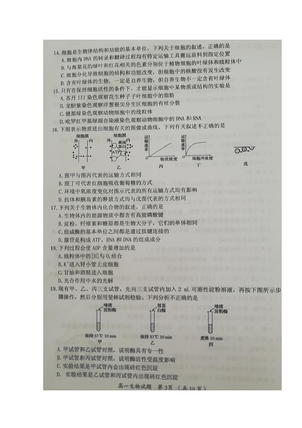 福建省三明市2018-2019学年高一下学期期末质量检测生物试题 扫描版含答案