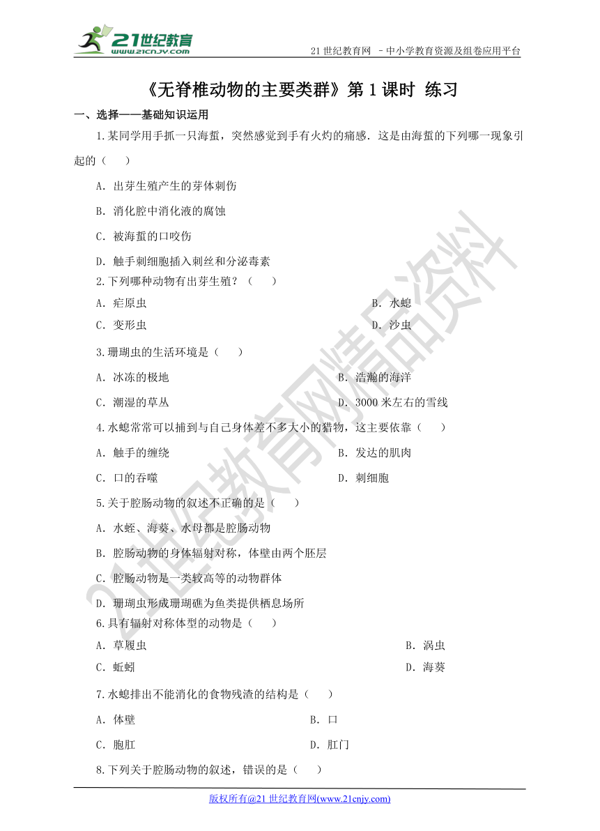 第二单元第二章第一节 无脊椎动物的主要类群 第1课时（练习）