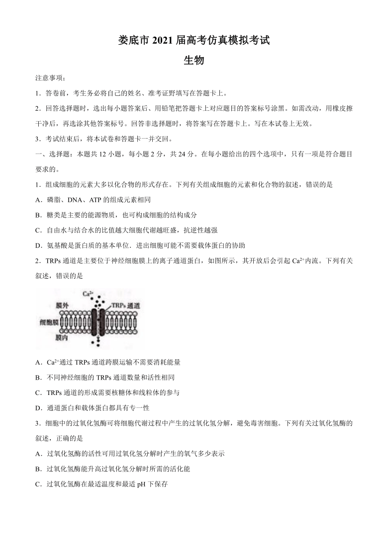 2021届湖南省娄底市高三高考仿真模拟生物试题 含解析