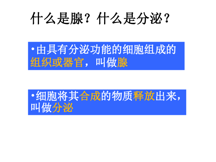 人教版七年级生物第六章 第四节 激素调节课件 （共30张PPT）