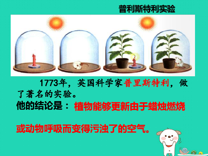 3.5《绿色植物与生物圈中的碳—氧平衡》课件（17张ppt）