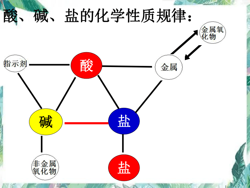 化学酸碱盐小鱼图图片