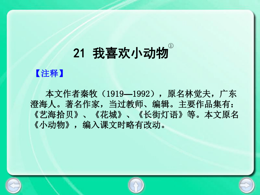 我喜欢小动物  课件 (共19张PPT)